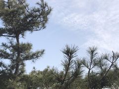 -北宫国家森林公园