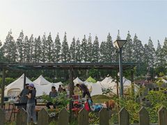 -前小桔亲子创意农场·草莓采摘·露营烧烤