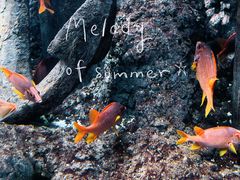 -福州罗源湾海洋世界旅游区