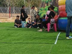 景点-武汉紫薇都市田园