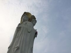 -白洋淀景区