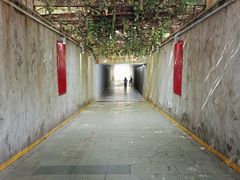 -西安汉城湖景区