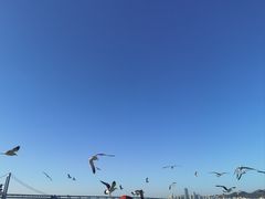 -星海广场
