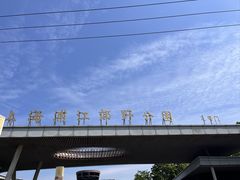 -上海浦江郊野公园-3号停车场