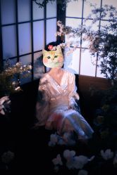 -WAVE SODA摄影工作室