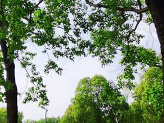 -苏州湾体育公园