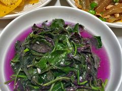 -全乐鱼馆·淳牌有机鱼直营店