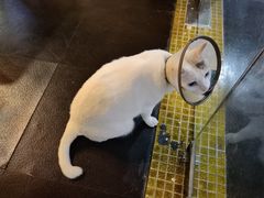 -Doors独立剧情密室(东门分店)