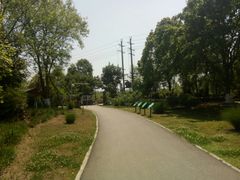 -白鹭湾湿地公园