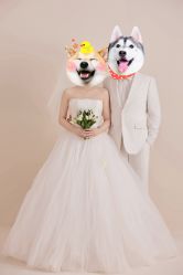 -北遇映画PHOTO GRAPHY STUDIO