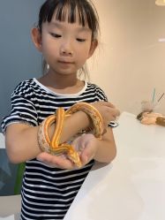 -Moni星球萌宠·小马宝莉·灵蛇·高端高阶全萌宠互动体验俱乐部(红豆国际广场店)