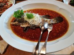 -宁波柏悦酒店·钱湖渔港