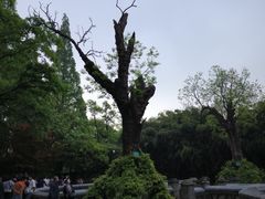 -习家池