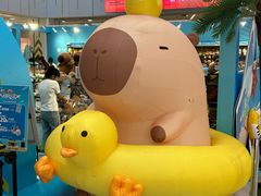 -凯德MALL(西直门店)
