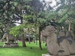 -北陵公园