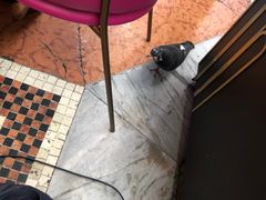 -埃马努埃莱二世拱廊