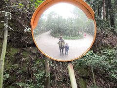 -缙云山景区