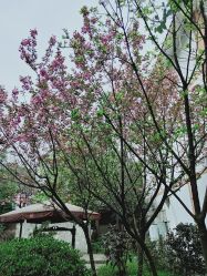 点击看大图 -莲生母婴月子中心(清水河公园店)