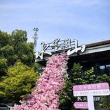 心旷神怡的花园时光