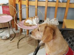 -上海潜殿潜水中心