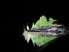 -怀托摩萤火虫洞