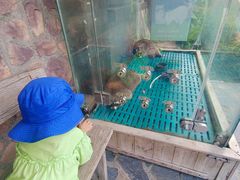 -珠海海泉湾度假区