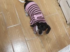 -瓦匠工社·马赛克·积木拼图·亲子手工DIY