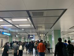 -宋家庄(地铁站)