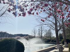 -石家庄市植物园