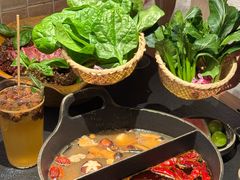 -大龙燚·旷野鲜火锅(广州首店)