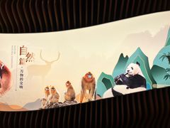 -四川大学博物馆