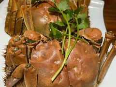 -呼吸森林·生态农庄农家乐私房菜