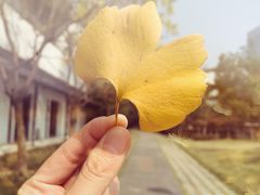 -苏州独墅湖世尊酒店