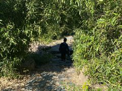 -白塘生态植物园
