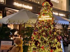 -深圳湾万象城(南山店)