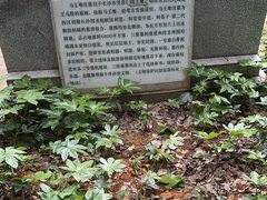 -马王堆汉墓遗址