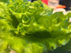 -杨记齐齐哈尔烤肉(总店)