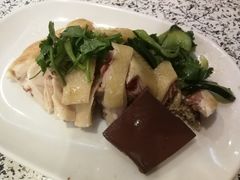 -文昌鸡饭店110号(中山路店)