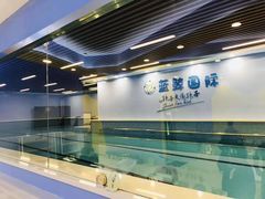 -蓝鲸国际少儿游泳训练中心(爱建店)
