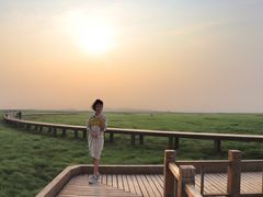 -鄱阳湖国家湿地公园