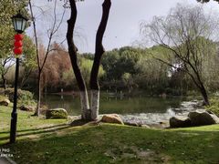 -新洲生态园