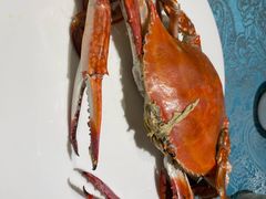 -北塘海鲜·天津菜(大光明桥旗舰店)