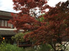 -碧丽宫大酒店(召稼楼店)
