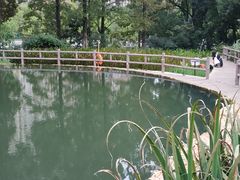 -成都市活水公园