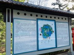 -团结湖公园