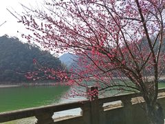 -五泄景区