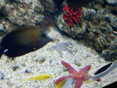 -常州海昌海洋探索馆
