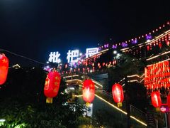 -枇杷园食为鲜火锅(南山店)