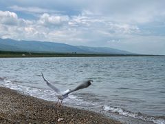 -青海湖国家重点风景名胜区