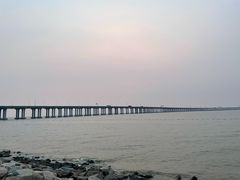 -宝安西湾红树林湿地公园